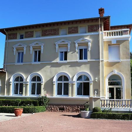 布兰查德城堡酒店 Chazelles-sur-Lyon 外观 照片